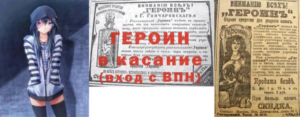 прущие грибы Абаза