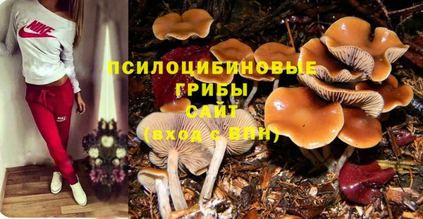 трава Абдулино