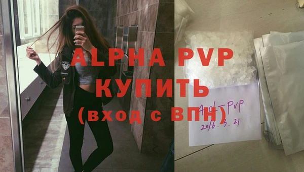 прущие грибы Абаза