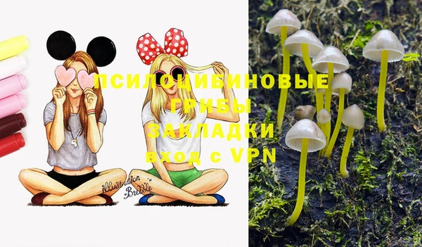 трава Абдулино