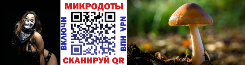 Псилоцибиновые грибы мухоморы  где купить   Красноармейск 